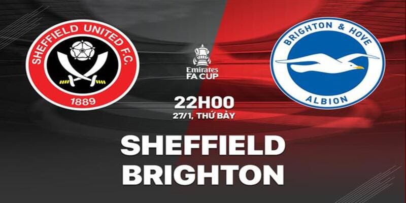 Phân tích Sheffield Utd Vs Brighton 22h00 Ngày 27/1
